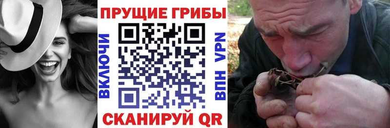 Галлюциногенные грибы ЛСД цена Каменка