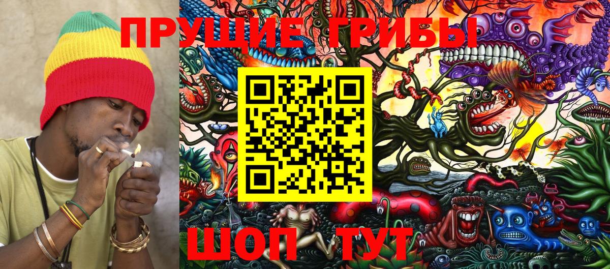 Псилоцибиновые грибы GOLDEN TEACHER  Псилоцибиновые грибы GOLDEN TEACHER  Вход с VPN  Каменка 